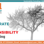 Corporate Social Responsibility (CSR) Consulting Services