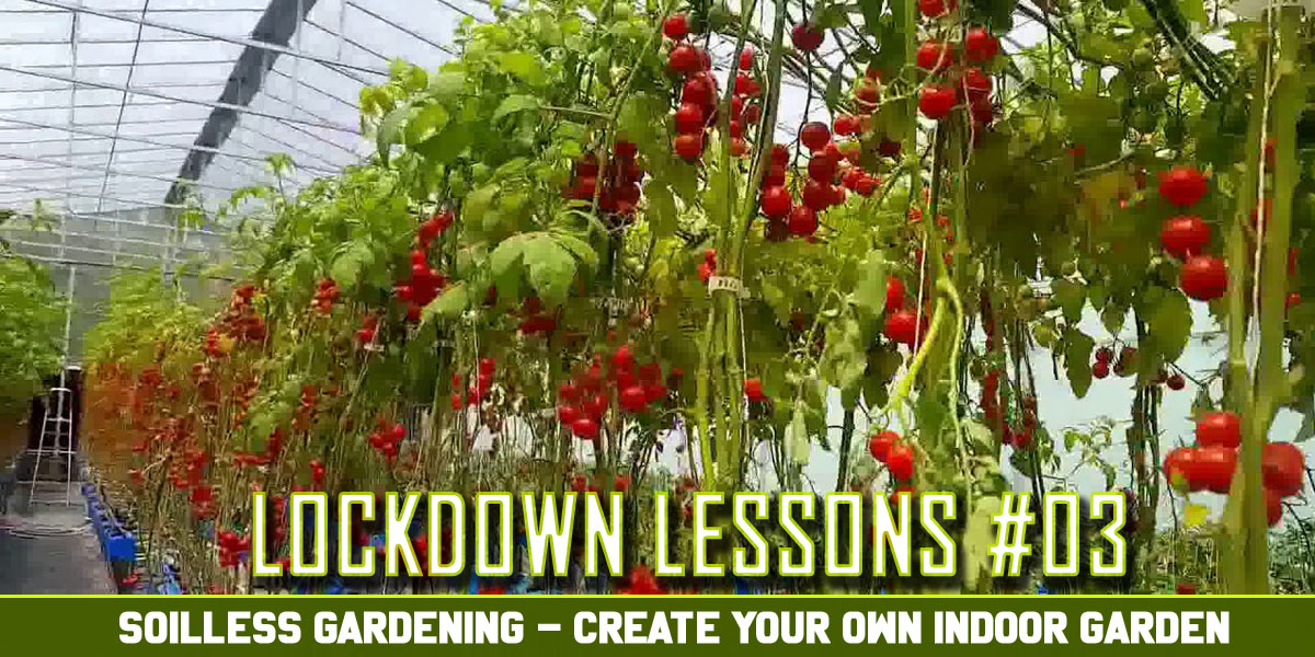 Lockdown Lessons #03 – Gardening